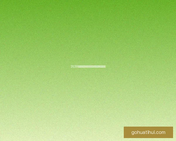 2026世界杯精彩瞬间全回顾与关键比赛精彩解析